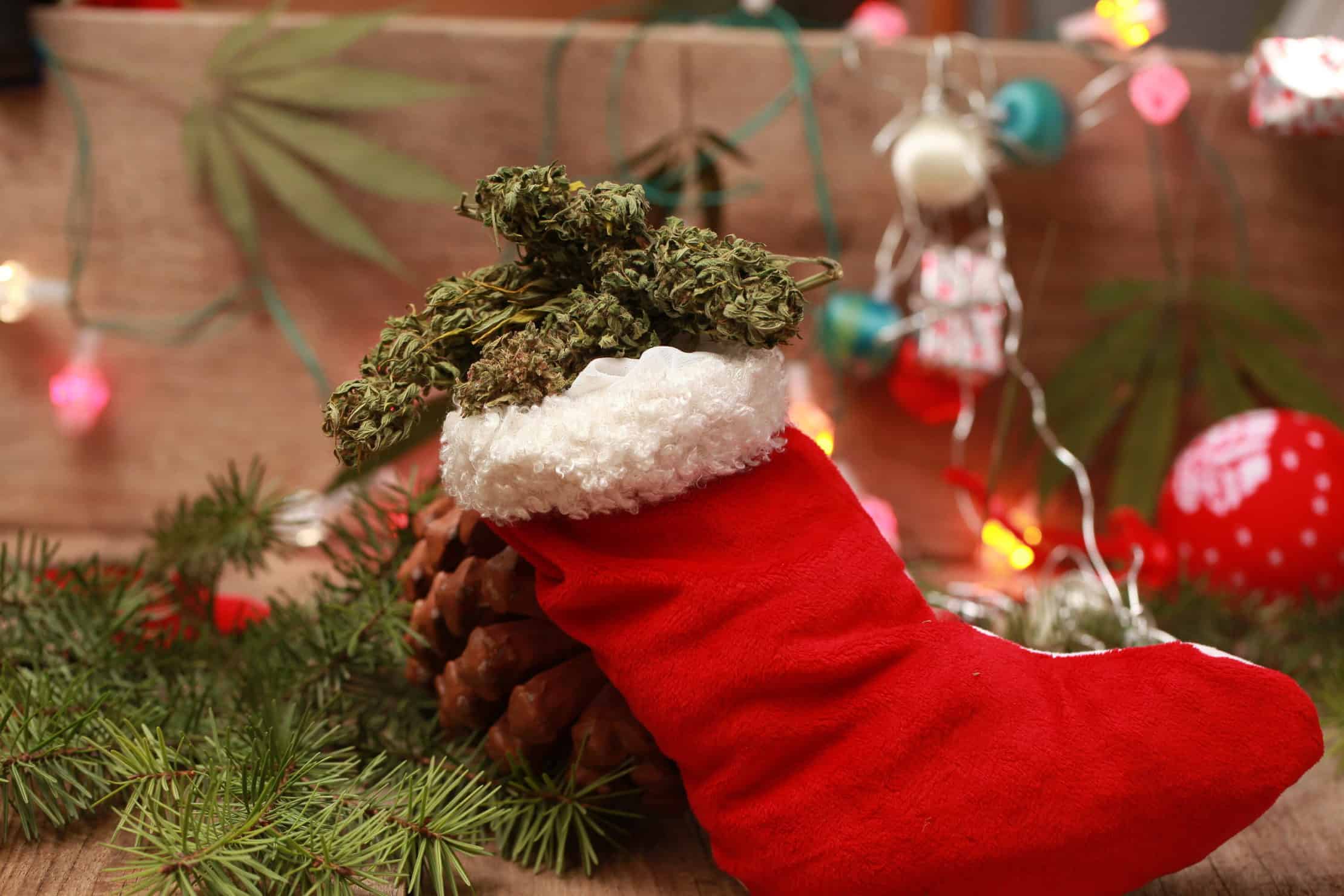 Best Cannabis Strains for Christmas