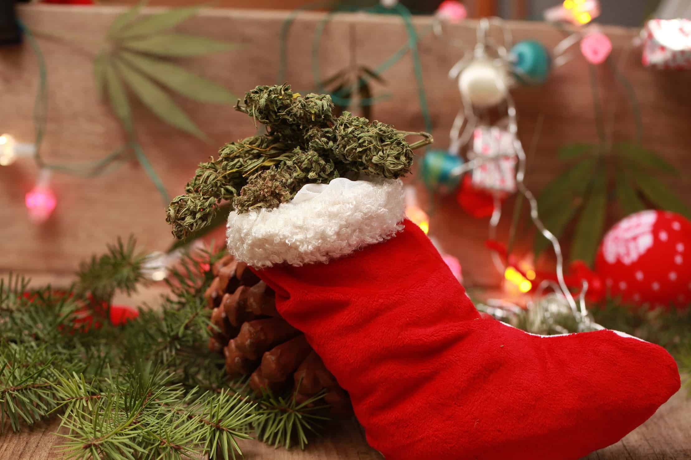 Cannabis strains for Christmas. 