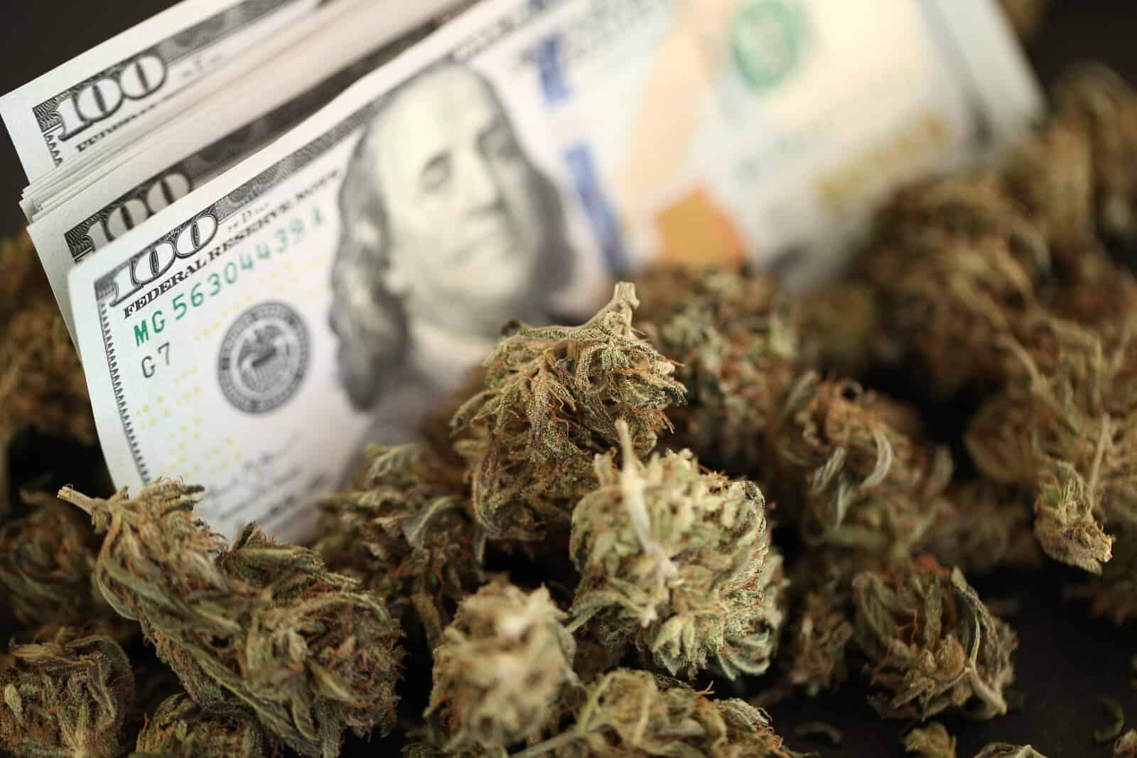 Marijuana legalization could create many marijuana jobs