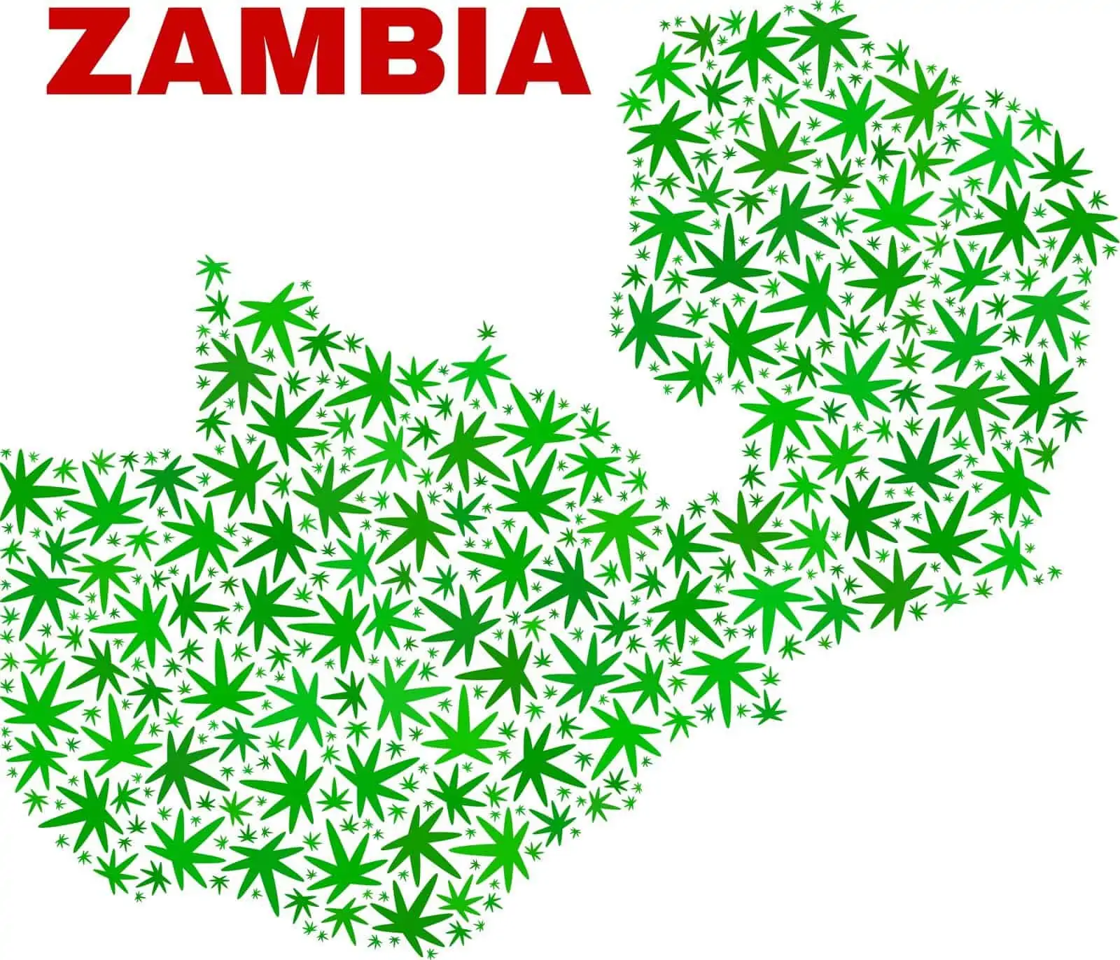 Zambia Legalizes Marijuana Growing