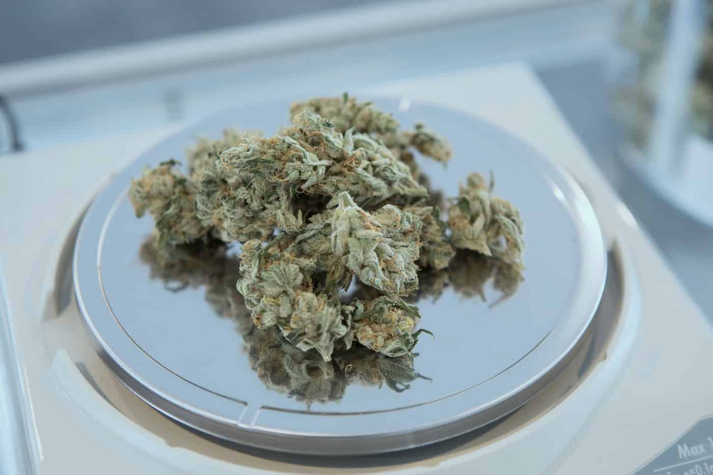Colorado Allows Patients To Use Marijuana Instead Of Opioids
