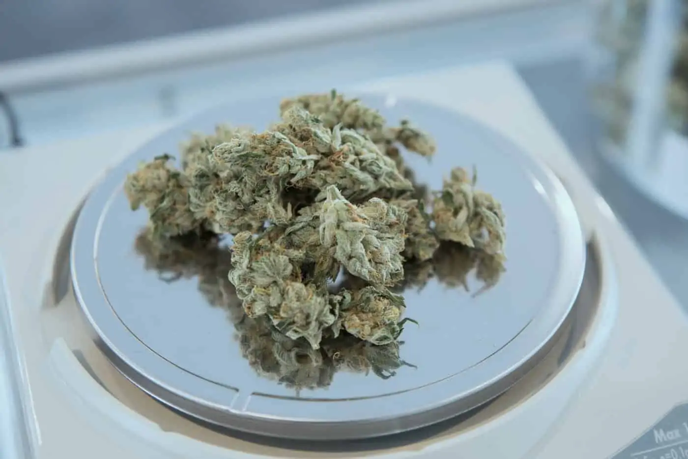 Colorado Allows Patients To Use Marijuana Instead Of Opioids