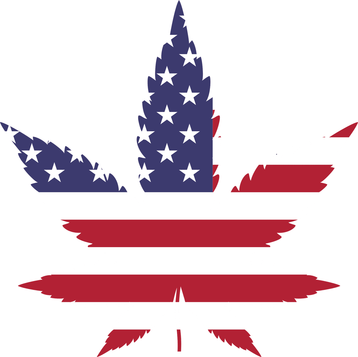 10 States That May Legalize Marijuana In 2020