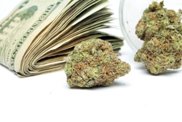 Marijuana salaries for popular cannabis jobs 2020. Marijuana and money