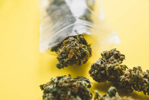 How to begin a dispensary in California. Marijuana buds