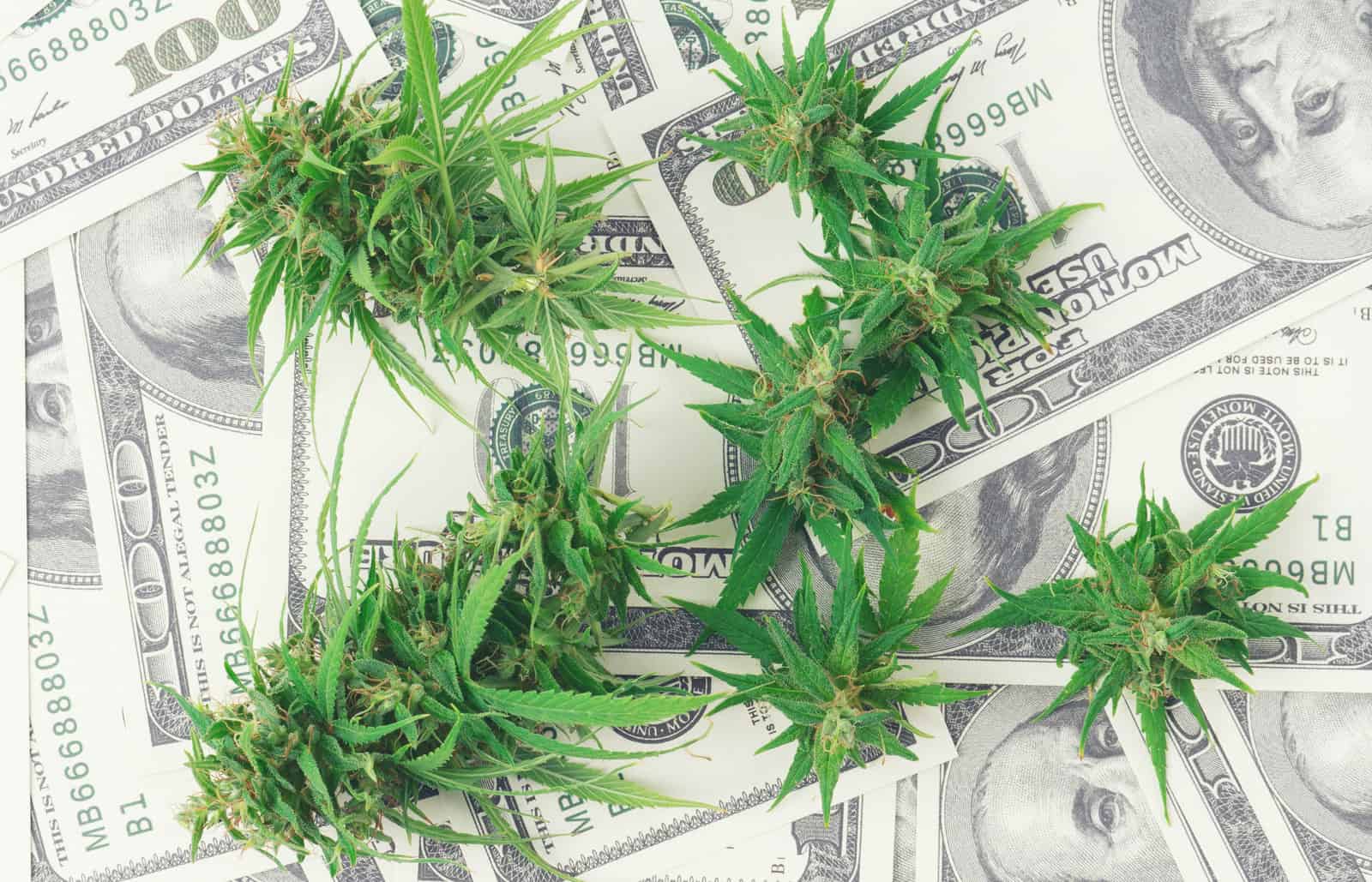 Illinois Hits Nearly $35 Million In Legal Marijuana Sales In February