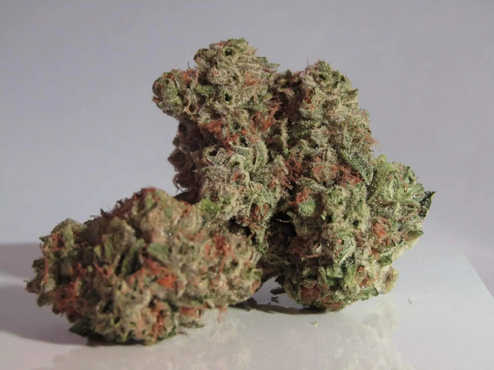Super Silver Haze Weed Strain Review & Information