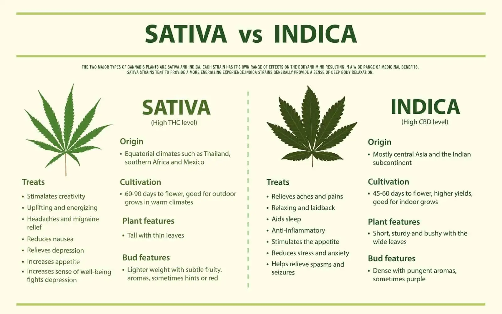 The Ultimate Guide to the Difference Between Indica vs. Sativa
