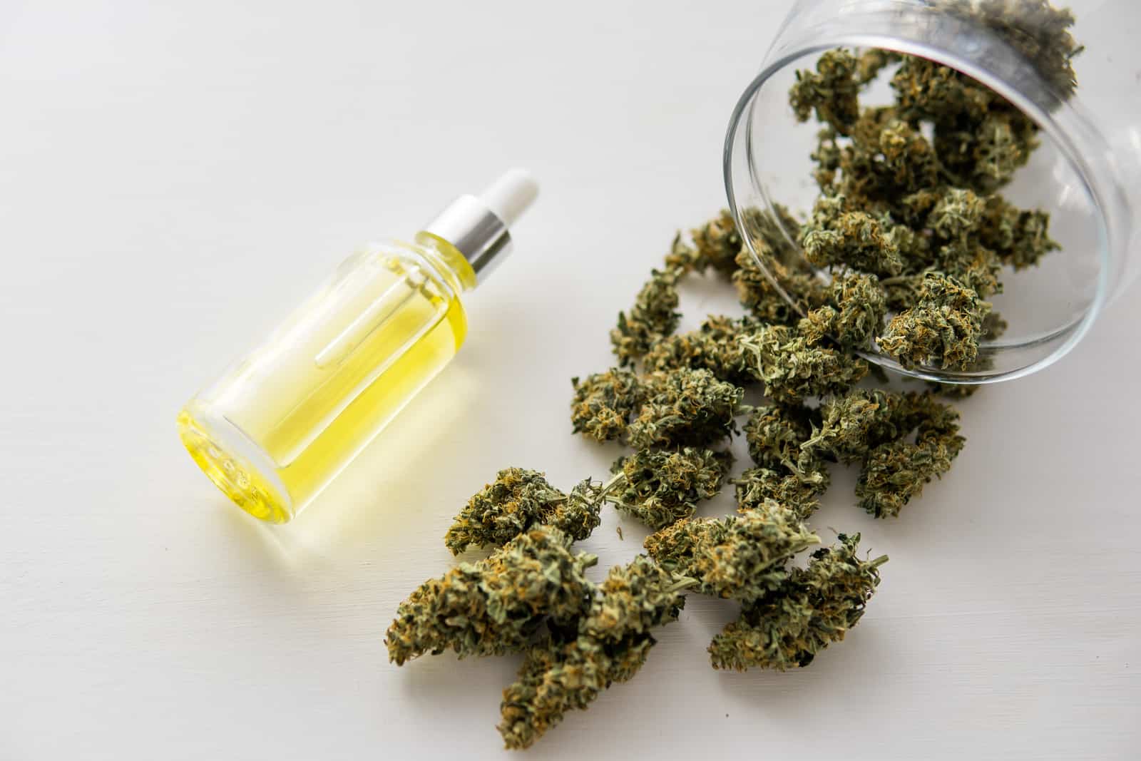 Trulieve Medical Cannabis Dispensaries In Florida. Marijuana buds and oil tincture.