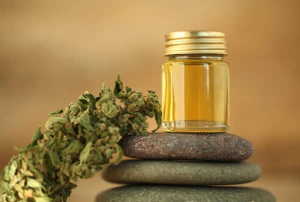 Surterra Wellness Marijuana Dispensaries In Florida