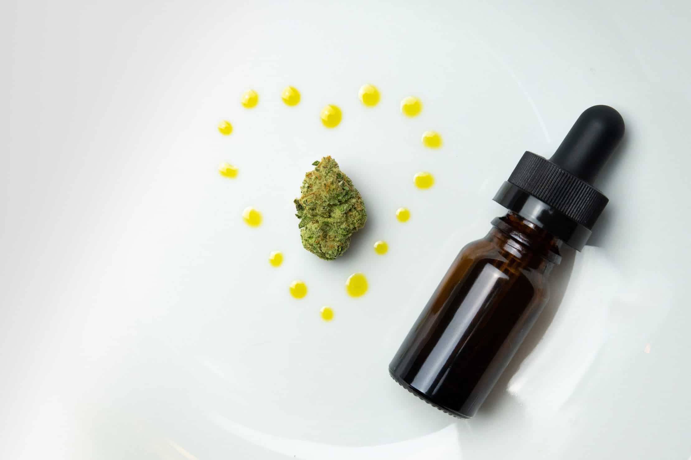 The Best CBD Buyers Guide That Will Save You Money. Tincture with weed bud.