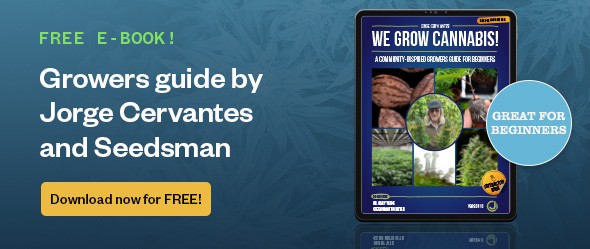 Growers guide by Jorge Cervantes and Seedsman