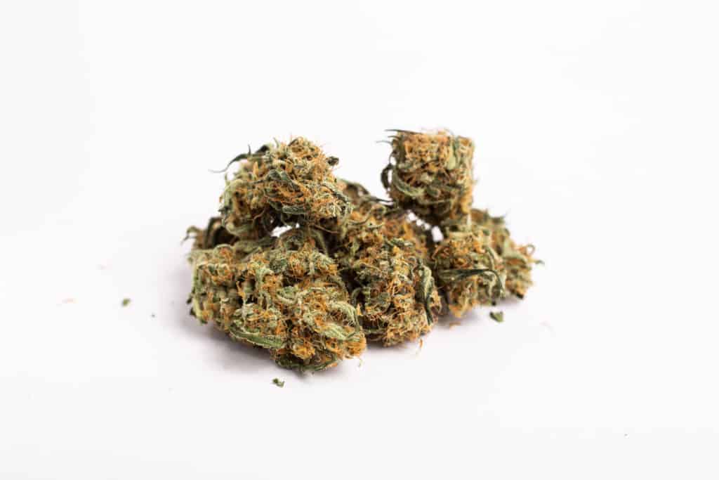 cannabis buds isolated on white, amnesia haze strain