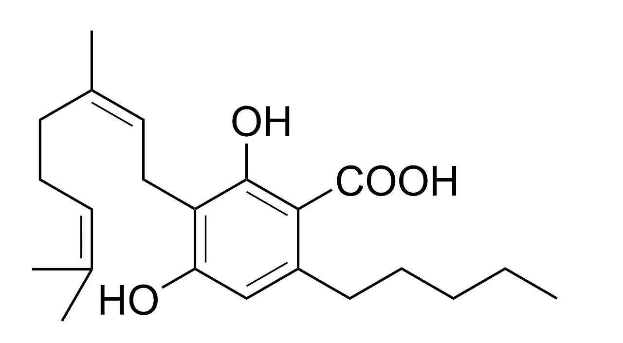A Comprehensive Review of CBGA Structure, Uses, & Strains 1 A Comprehensive Guide of CBGA Structure, Uses, & Strains. Molecule of CBGA.