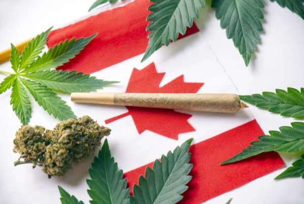 Canada Cannabis Jobs and Marijuana Careers. Canadian flag with marijuana.