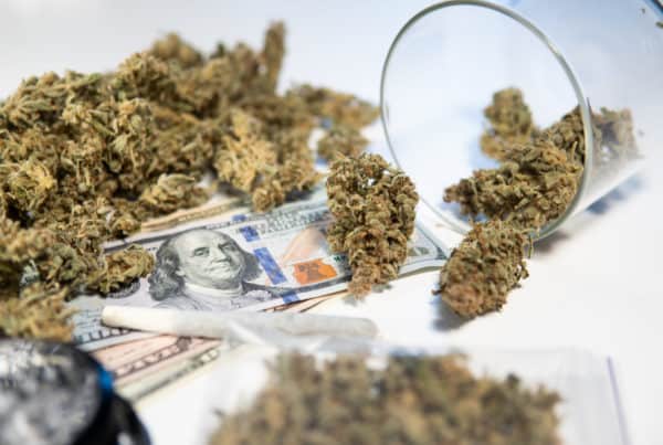 How to Open a Cannabis Dispensary in Florida. Marijuana with money.