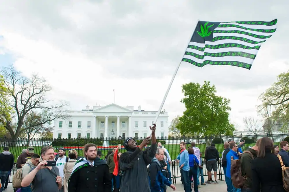 Is Weed Legal in Washington D.C.?