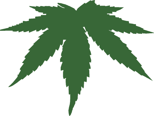 Sunnyside Cannabis Dispensary in Rockford Review