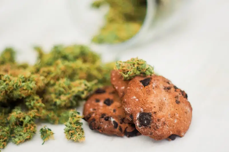 cannabis buds next to chocolate chip cookies, cannabis edibles versus tinctures