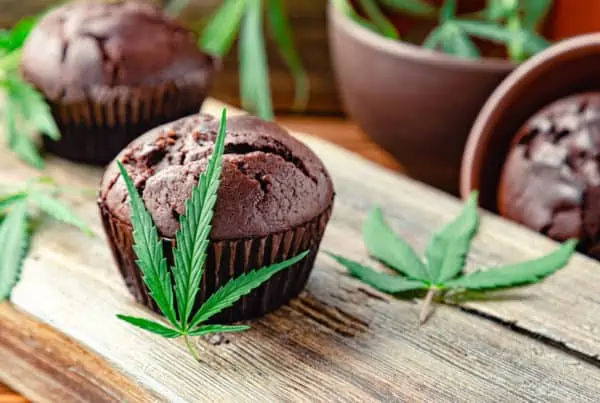 marijuana leaves by brownies on wood table, cannabis edibles versus tinctures