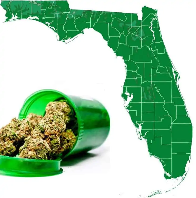 How to Get a Medical Marijuana Card in Florida