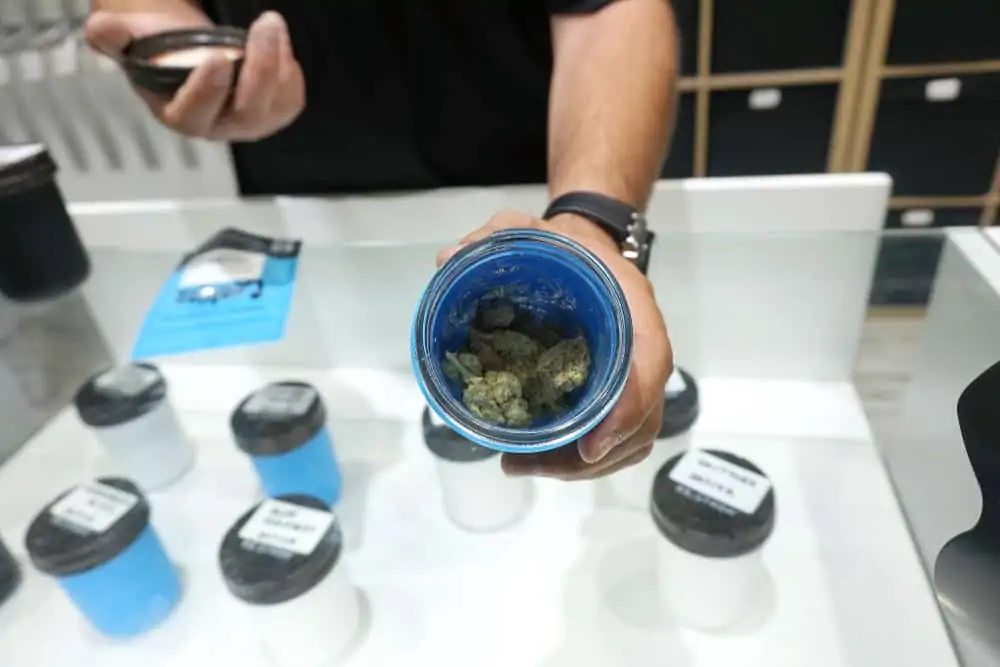 Pennsylvania Weed Jobs and Cannabis Careers. Man showing bud in a container.