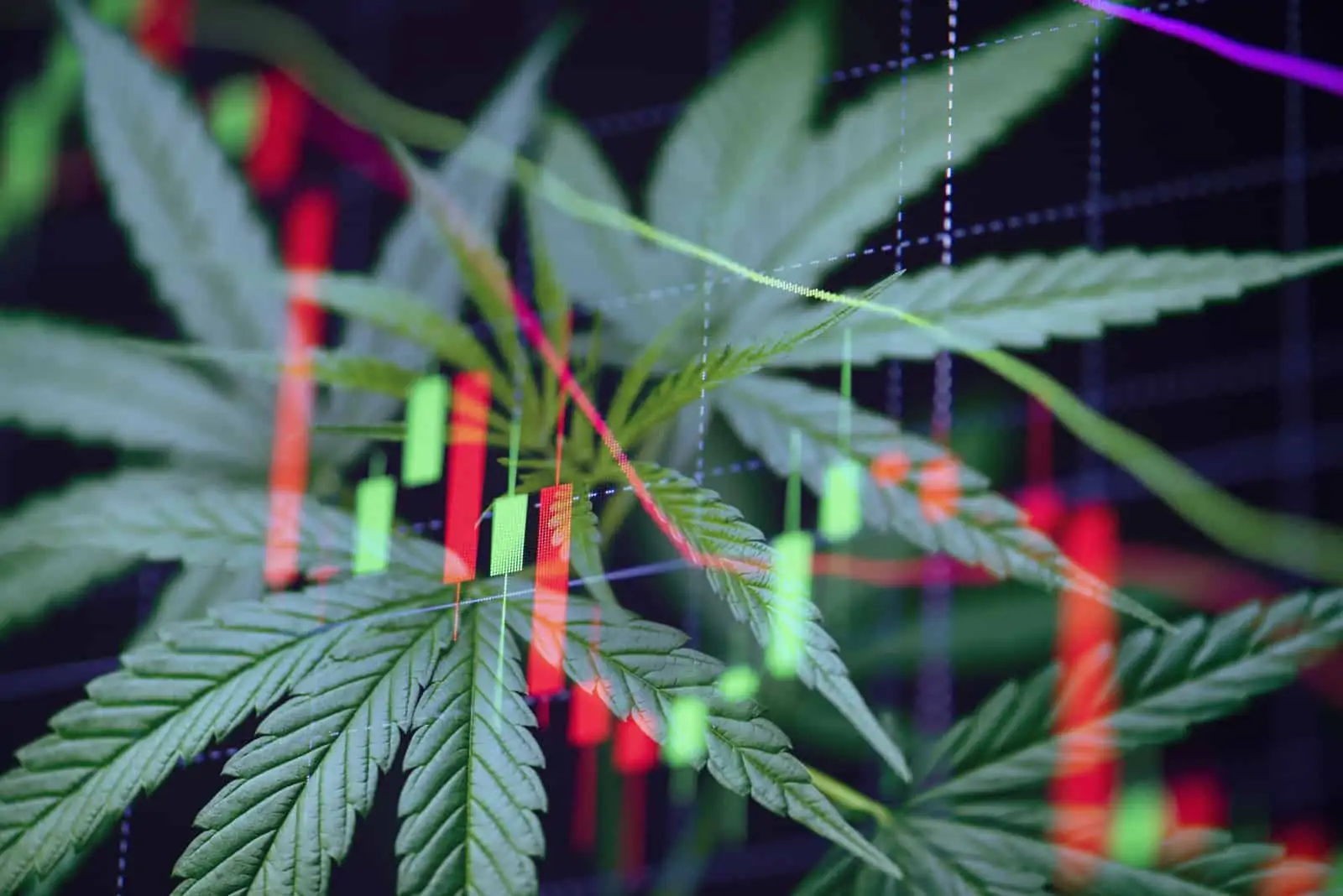 Top Marijuana Stocks for August 2020
