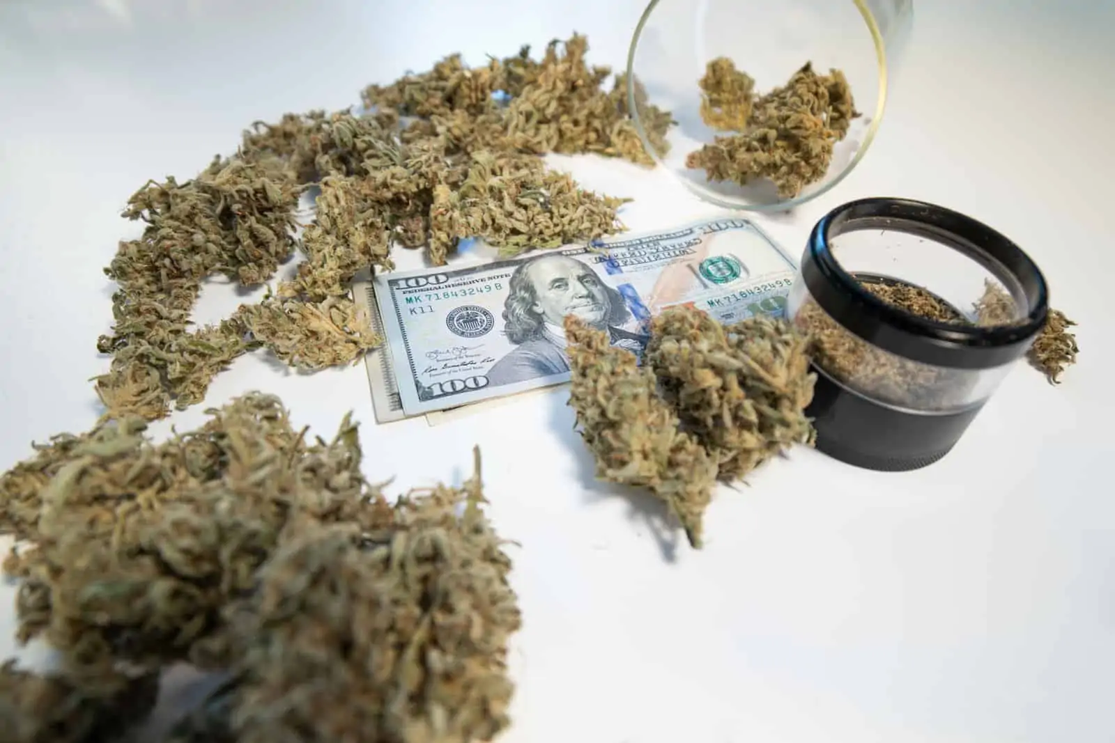 How to Become a Budtender in Maryland