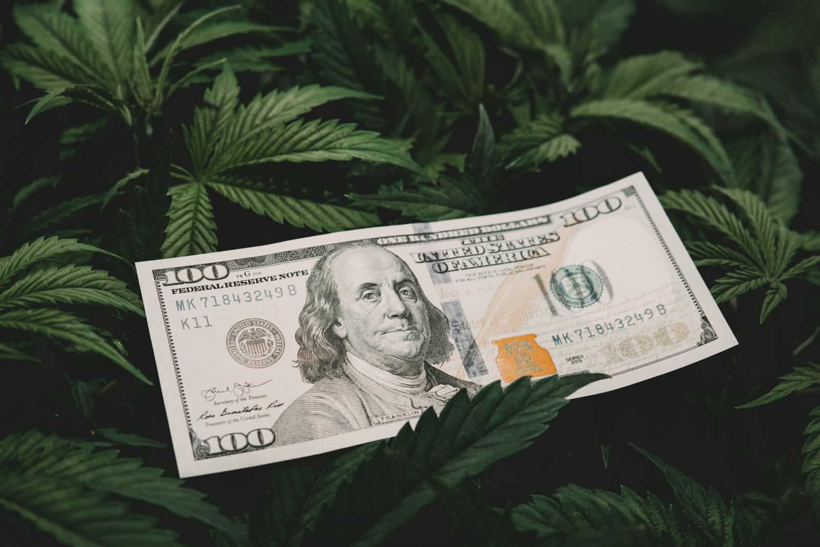 IRS Releases Tax Guidance for Cannabis Businesses