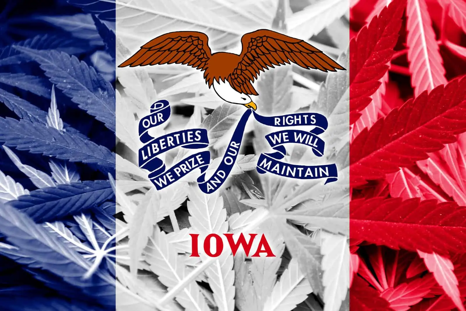 Is Weed Legal in Iowa?
