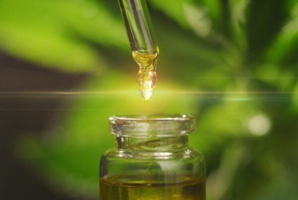 cbd oil concentrate in a glass bottle