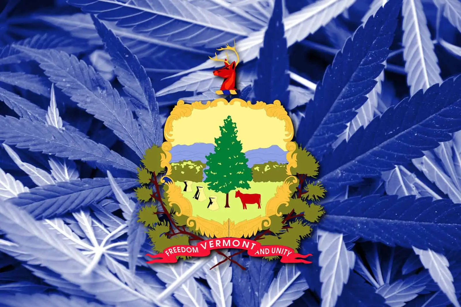 Is Weed Legal In Vermont?