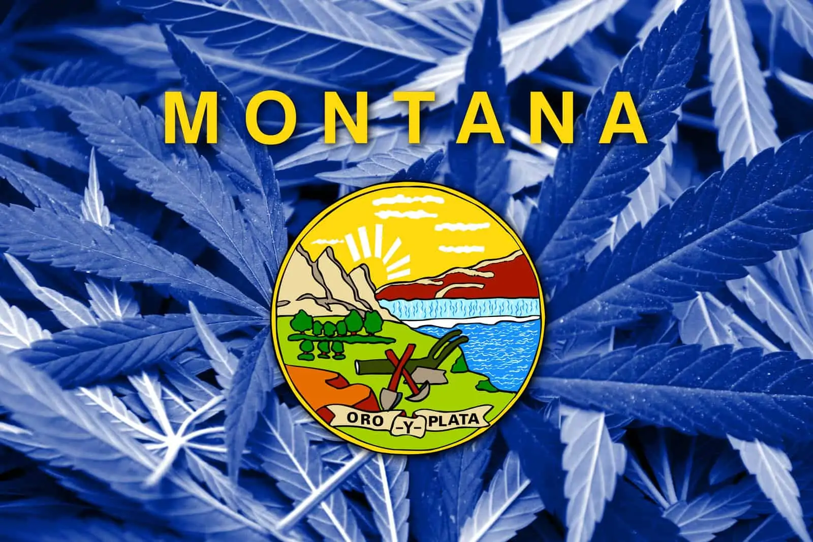 Is Cannabis Legal in Montana? Montana state sign.