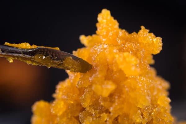 The 10 Best Marijuana Strains For Concentrates.