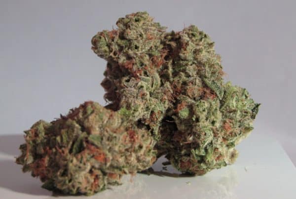 Zkittlez Strain Review. Cannabis buds on white table.