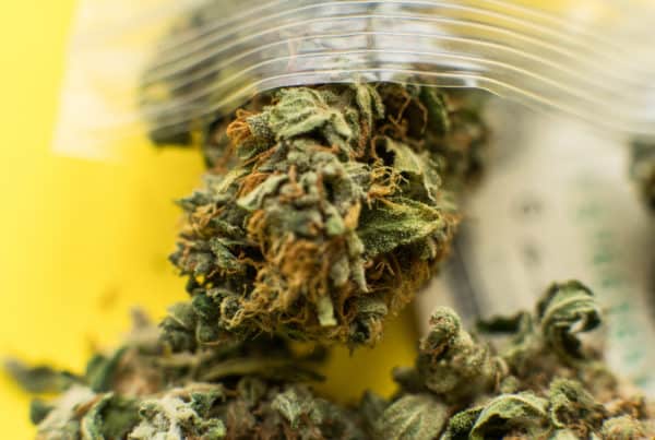 Marijuana in bag, do-si-dos strain