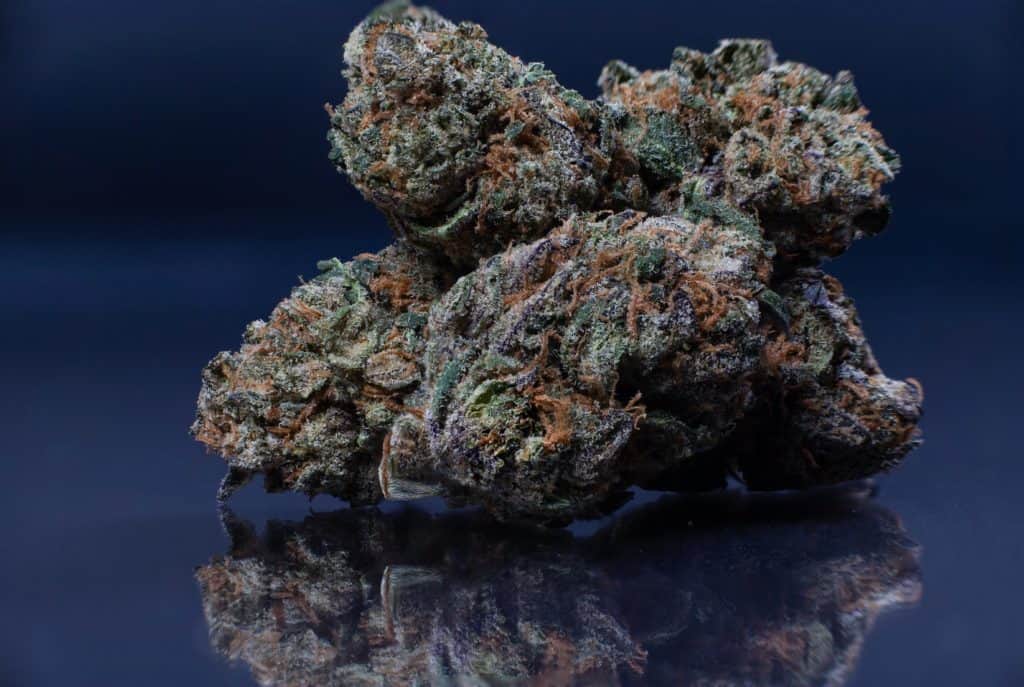 Marijuana buds up close on blue, runtz strain
