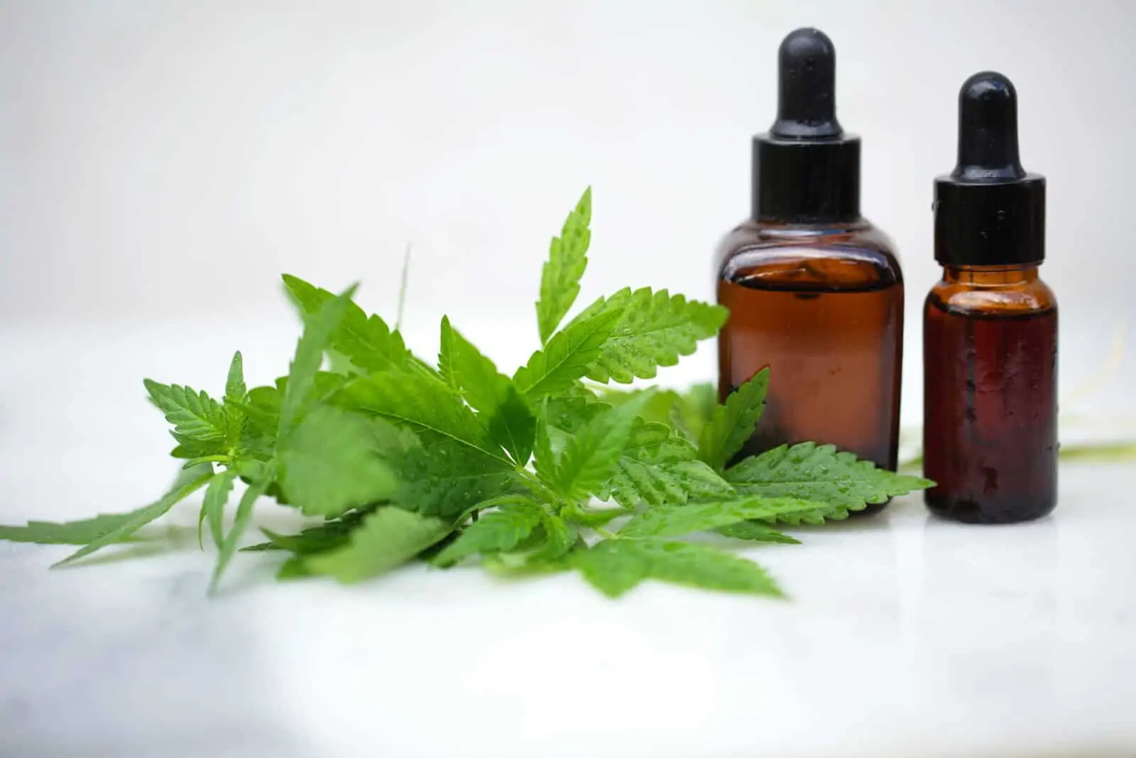 6 Best CBD Oils for Fibromyalgia: The Ultimate Review