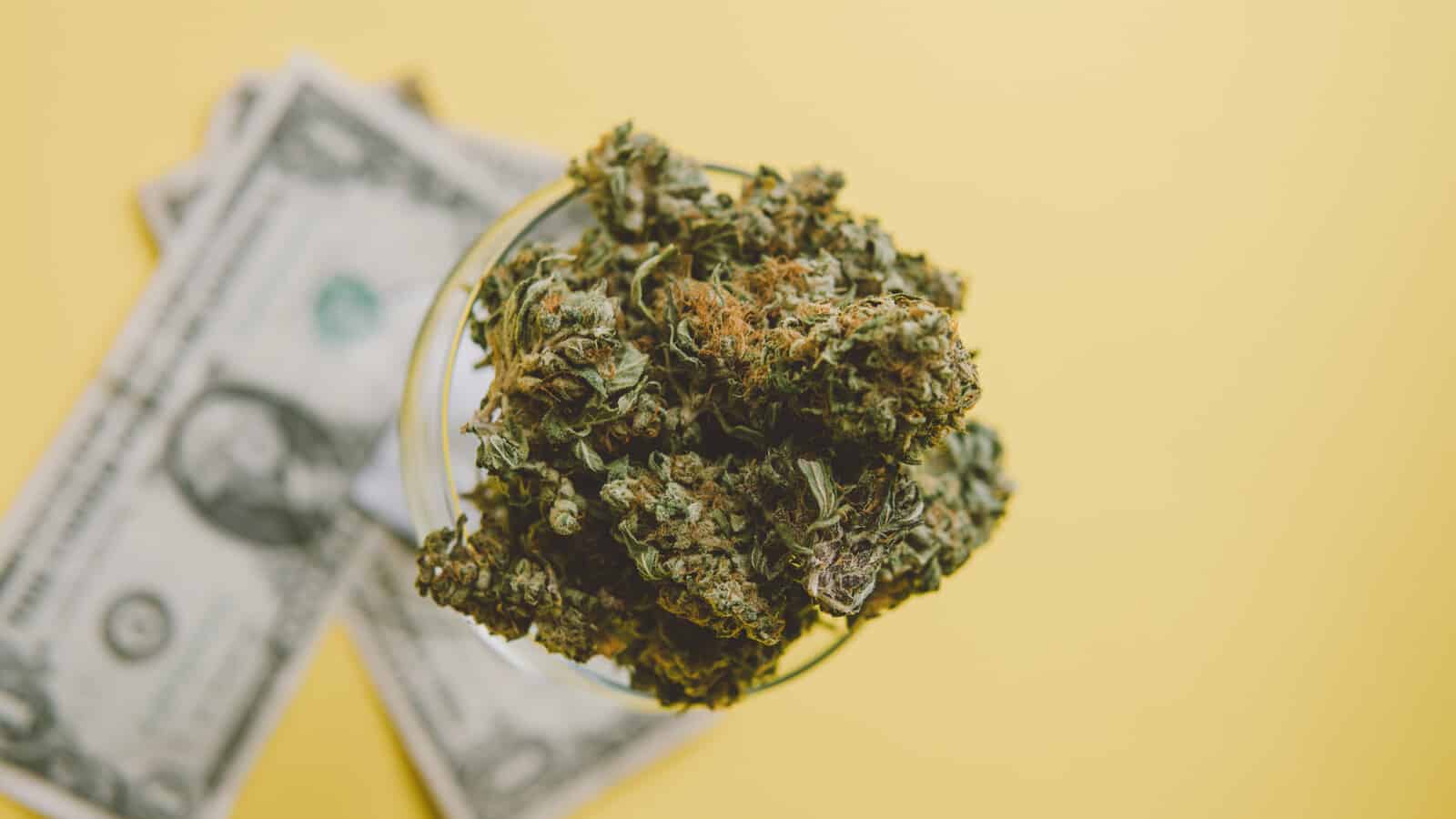 Cannabis bud on top of dollar bills