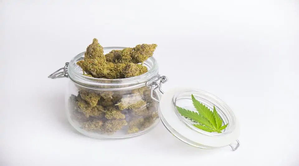 Mankind Dispensary marijuana in a glass jar with a pot leaf.
