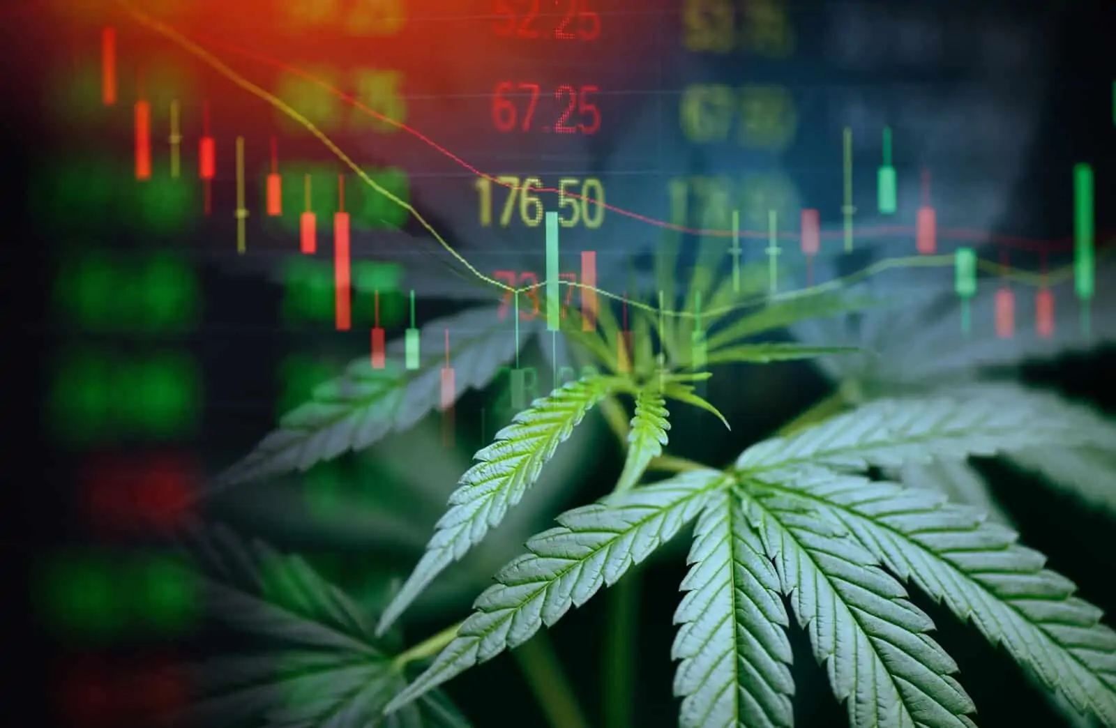 Top Cannabis Stocks for December 2020