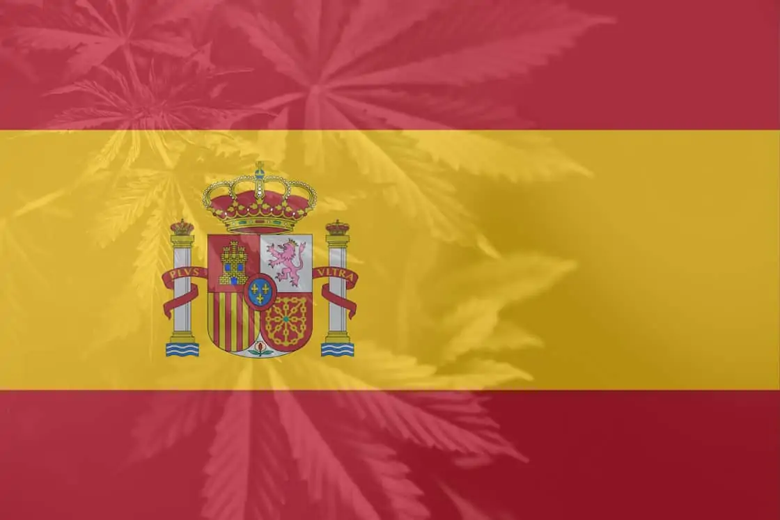 Spain Cannabis College