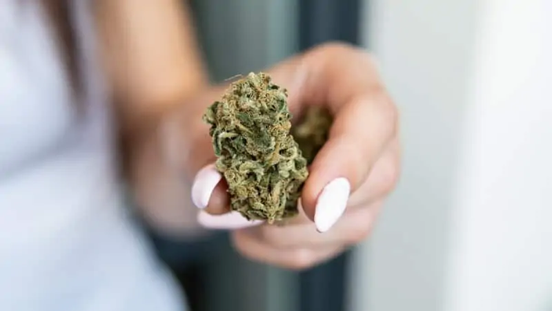 Women holding cannabis strains for bipolar disorder