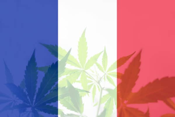 France close to legalizing cannabis with the flag.