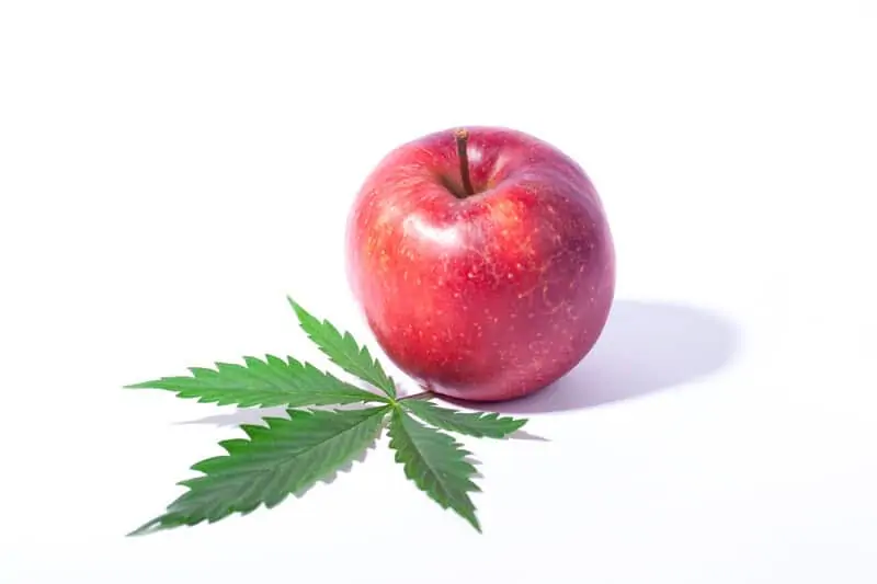 Apple and a marijuana leaf for how to make an apple bong.