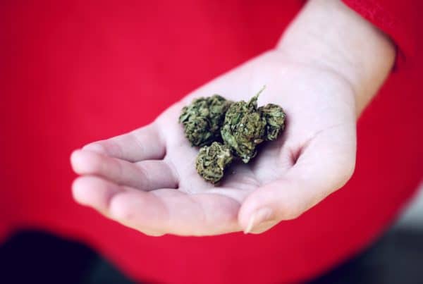 A person's hand showcasing a small piece of marijuana, promoting its potential for enhancing creativity.