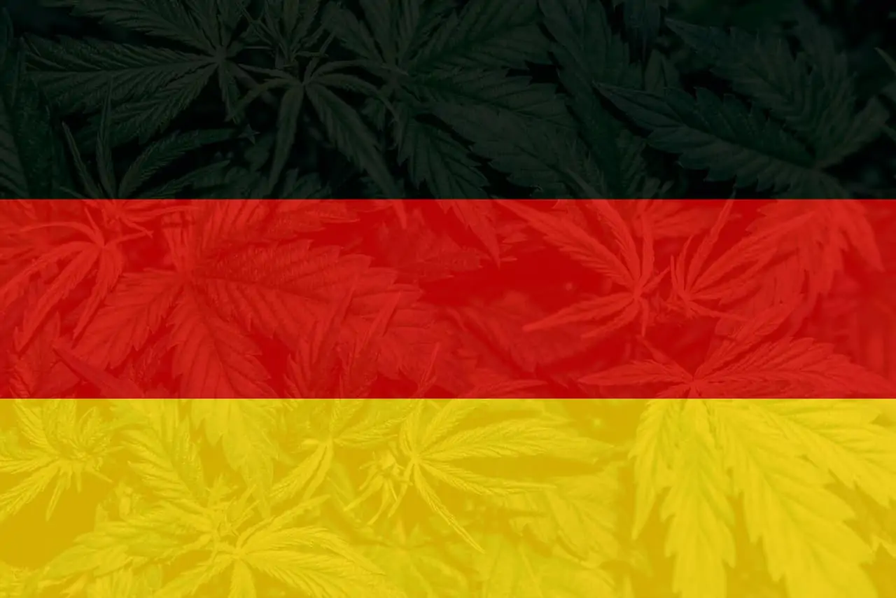 The Cannabis College Germany