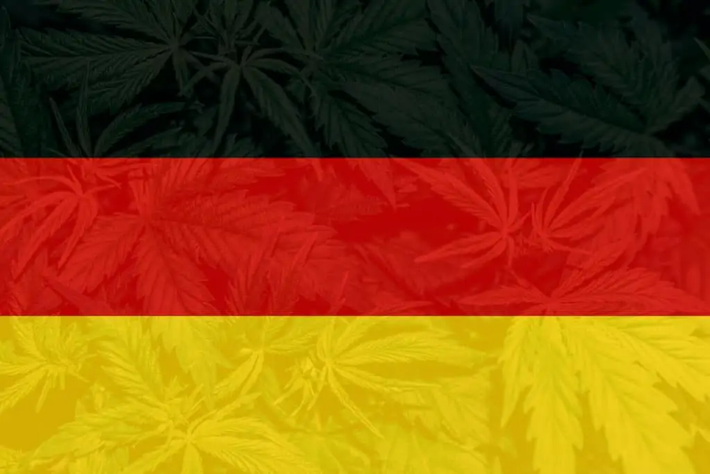 The Cannabis College Germany 1 The German flag with cannabis in the background for the Cannabis College Germany.
