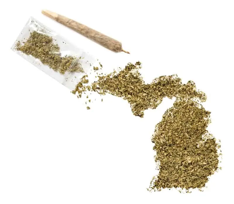outline of Michigan in weed, how many states have recreational weed in 2021