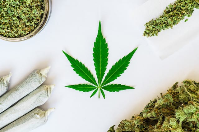 10 High CBD Strains To Try 1 High CBD strains and joints with a marijuana leaf